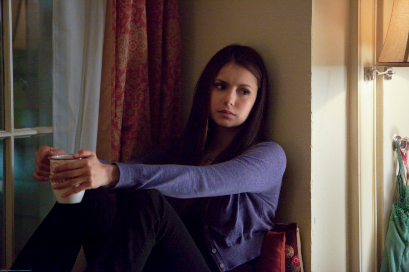 Illustration for article titled Vampire Diaries: A Wasted Moment of Clarity